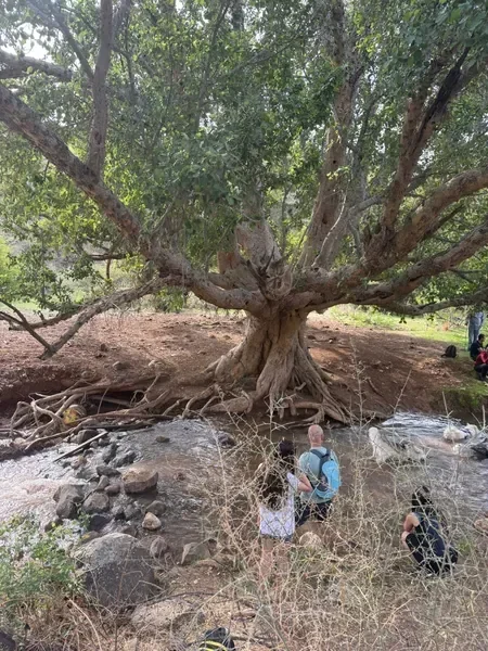 נוף הגליל והכנרת הנשקפים מהסביבה
